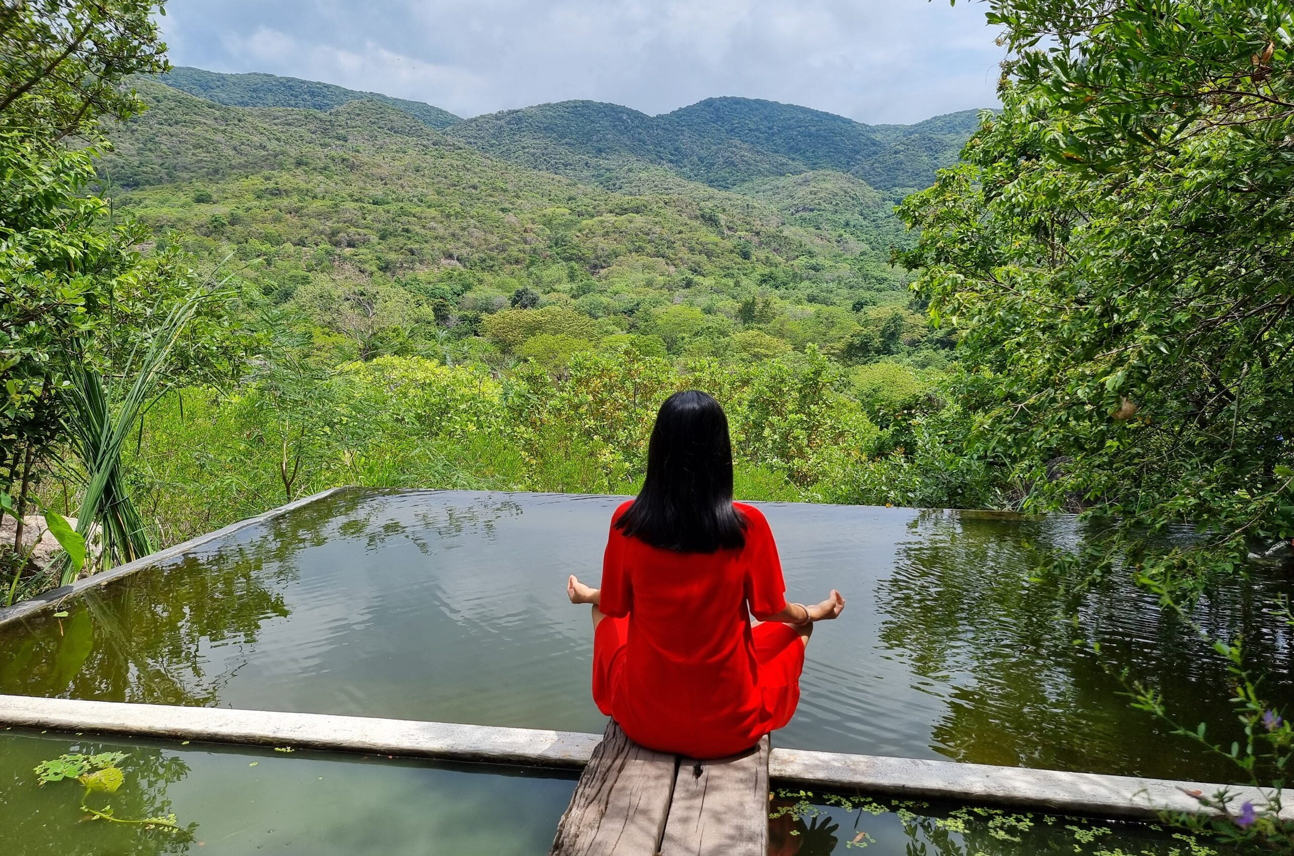 Hành trình thiền