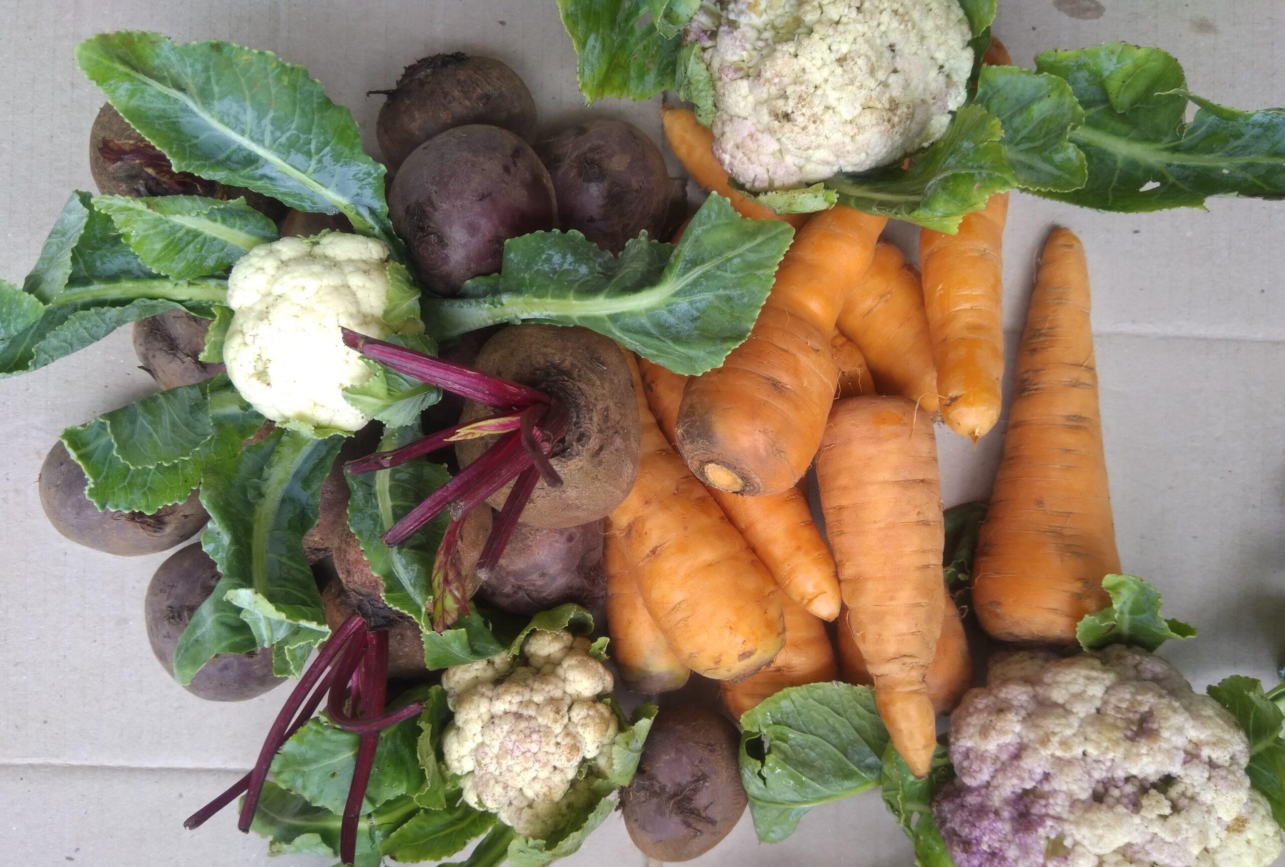 các loại rau củ. thực phẩm như thuốc