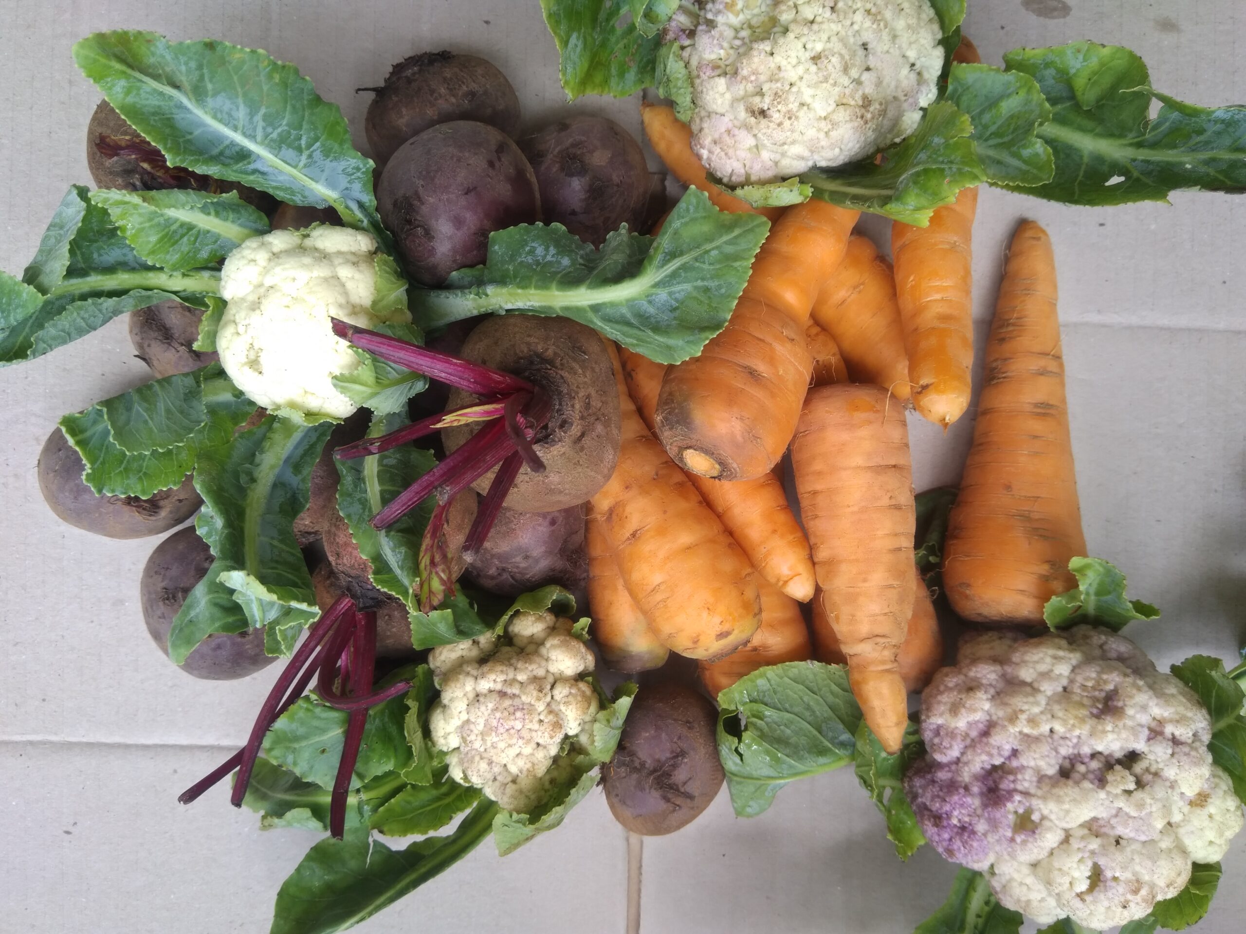 carrot beet cauliflower food as medicine